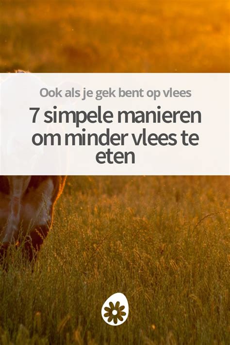 hoe word je minder verlegen|5 tips om minder verlegen uit de hoek te komen